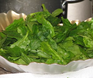 Spinach close up